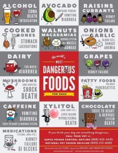 chart of harmful foods dangerous human foods