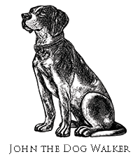 John the Dog Walker logo - senior dog puppy breaks