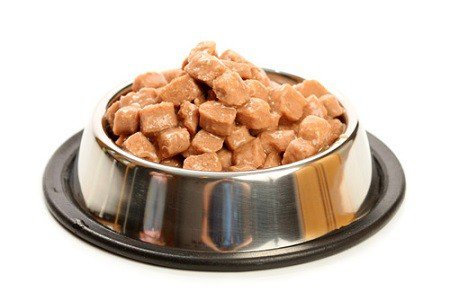 bowl of dog food - FDA dog food recall
