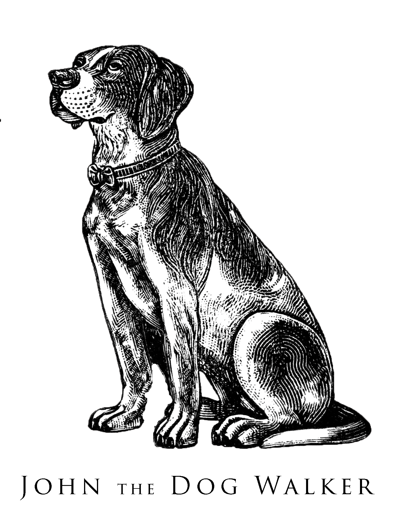 Рисунок собаки графика. Собака рисунок. Сидячая собака рисунок. Набросок сидящей собаки. Векторное изображение собаки.