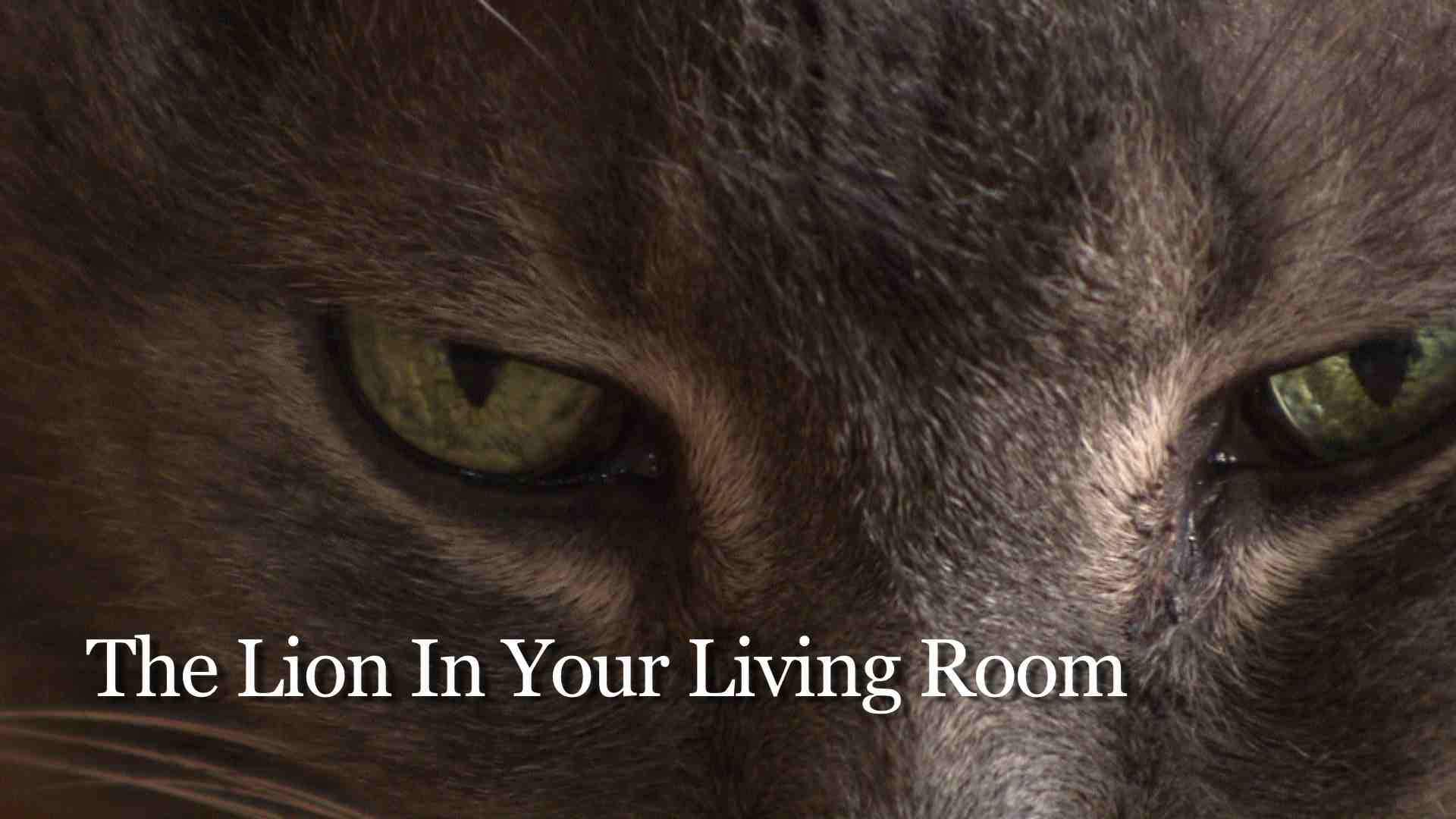 Lion In Your Living Room Documentary